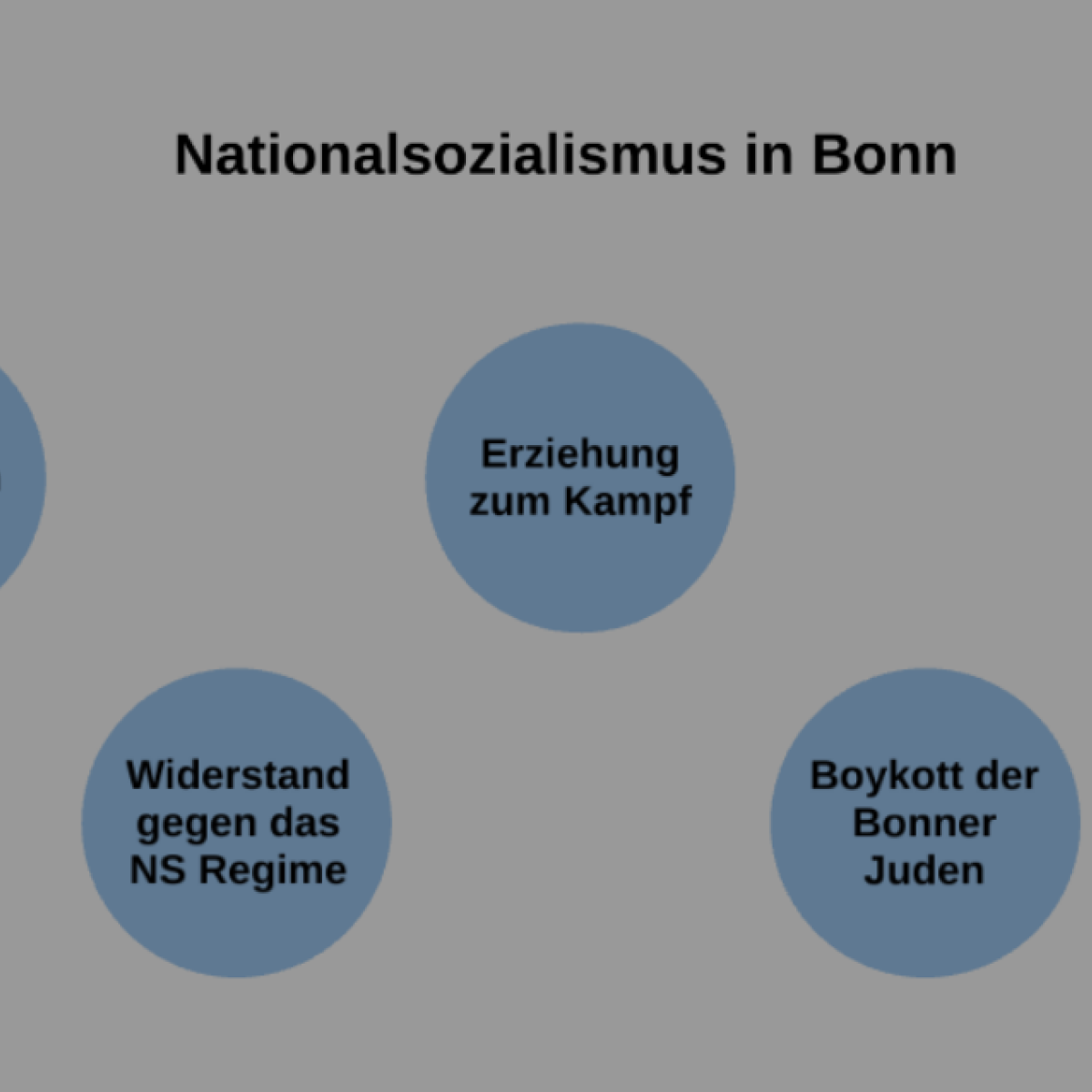 Zusatzkurs Geschichte: Nationalsozialismus in Bonn